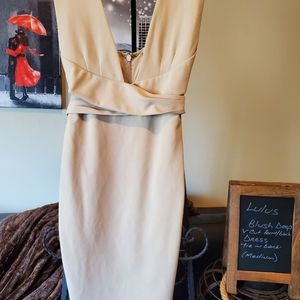Lulus  Plunge Dress